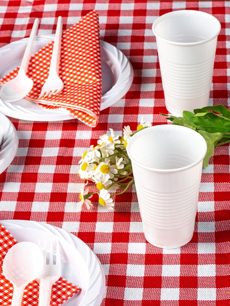 Стаканы пластиковые Paclan Party Every Day, 200 мл, 12 шт.