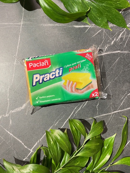 Губки для посуды Paclan Practi Profi, 2 шт.