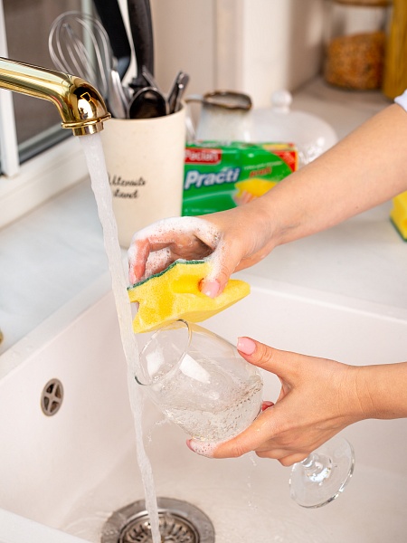 Губки для посуды Paclan Practi Profi, 2 шт.